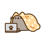 Pusheen’s fan group for people thats crazy pusheen
