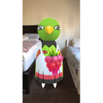 Redy yeety
