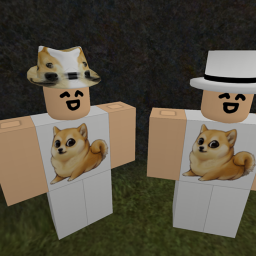 THE LIFE OF A DOGE