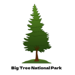 Big Tree National Park