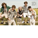1D ONLY