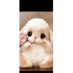 Welcome bunny group