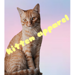 - kitten apparel -
