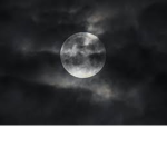 Night floors