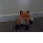 ThefoxArmy!