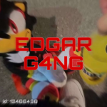 EDGAR G4NG