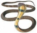 cobra attack team