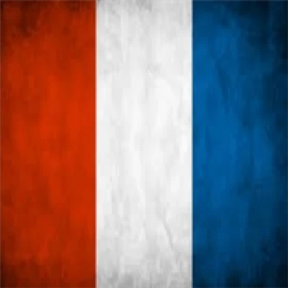 France Flag Reversed