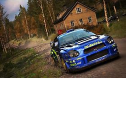 Big rally  (alpha)