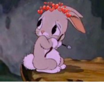 Bunny or cat