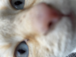 mynameislilly