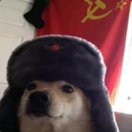 The Conscript 229 Fan Club
