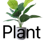 The potted plants!