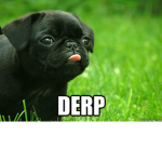 The DERPYZ