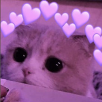 Zedari