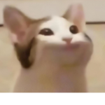 Pop_cat_army