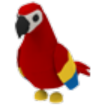 ParrotPlaysFanClub