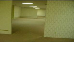 The Backrooms