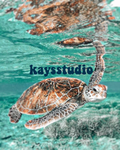 kaysstudio