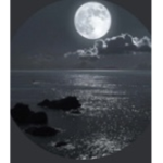moonlight cafe+~