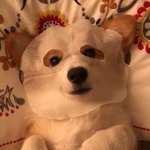G o r g e o u s