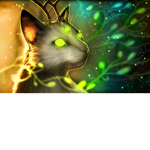 { Kingdom of Powers : Warrior Cats RP! }
