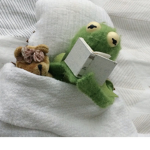 Thee Kermit Squad