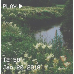 e a r t h y
