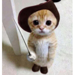 The very cool Cats :3