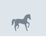 Sunny Side Horse Back Riding Team!