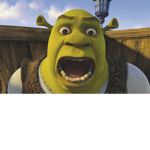 Shrek’s Group :)