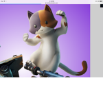 Fortnite and piggy group