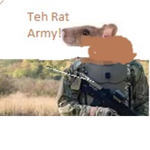 Teh rat army