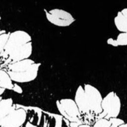 ✿