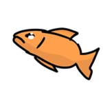 Fish out of Water