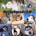 Husky squad <3 :D