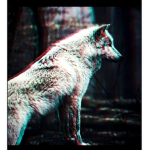 BraveHearted Wolves