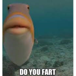 fish balls