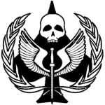 The Military Assualt Team