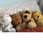 Staff the good and happy bears