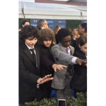 Stranger things rp group join and I will rank best