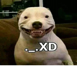 Survive the memes XD