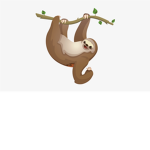 Sloth adventure