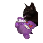 dhcs ⁂