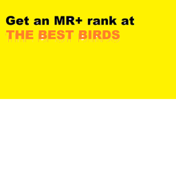 Get a MR+ rank at The Best Birds!