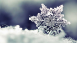 Snowful