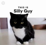 This Is, Silly Group