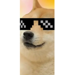 scp헤헿따 제단