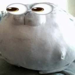 derp