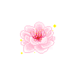 Sekiras